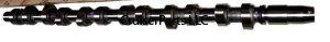 Camshaft 1HDTFTE 24 Valve Turbo