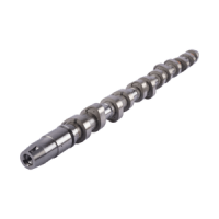 24 Valve Camshaft Yanmar 6LP