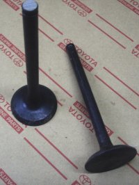 Intake Valve H, 2J Diesel