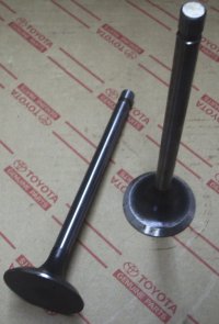Intake Valve 2D
