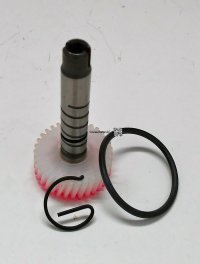 Speedometer Drive Gear