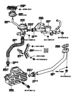 Exhaust Gas Recirculation System