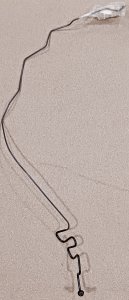 Rear Brake Tube No.1 1999-2004 Tundra