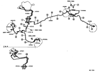 Rear Left Axle Brake Line FJ62