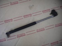 Hood Strut Left 91-97 (AM)