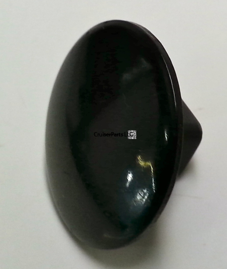 Side Window Hinge Retainer