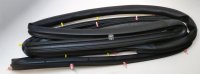 Front Left Door Weatherstripping 88-01 Toyota Hilux and 4Runner