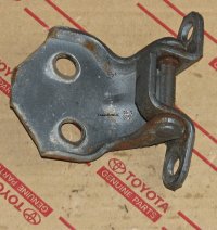 Rear Door Lower Hinge Left or Right 81-90