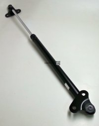 Back Door Support Cylinder for 93-97 80 and LX450