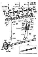 Camshaft and Valve
