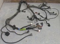 Engine Wiring Harness 1993-1994 1FZFE