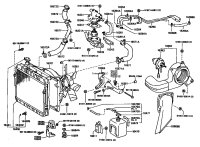 Radiator and Water Outlet