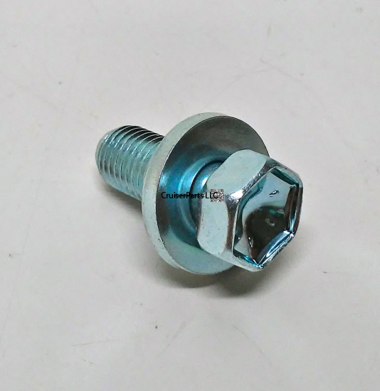 Bolt With Washer