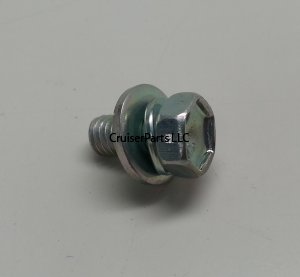 Bolt With Washer