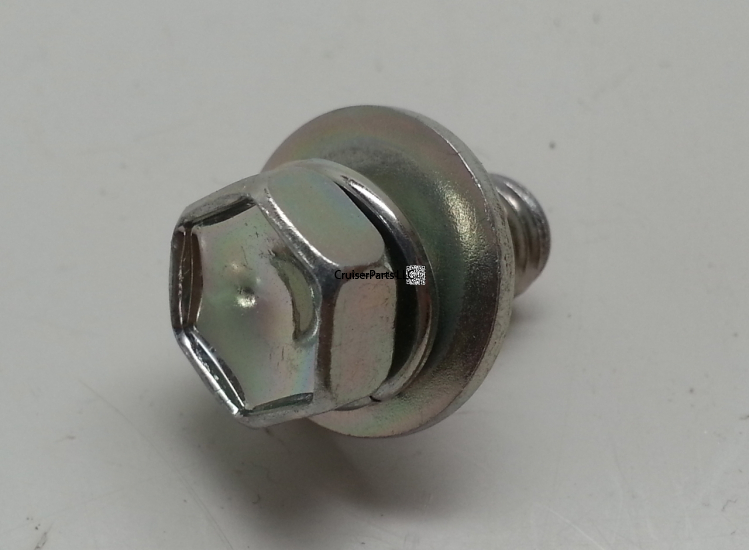 Bolt With Washer