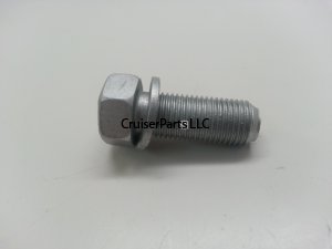 Bolt With Washer
