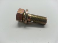Bolt With Washer