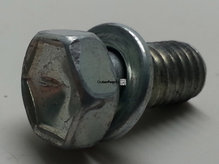 Bolt With Washer