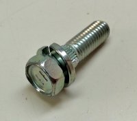 Bolt With Washer