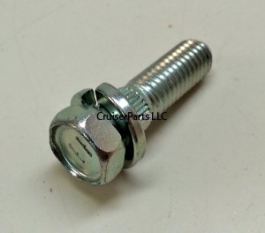 Bolt With Washer