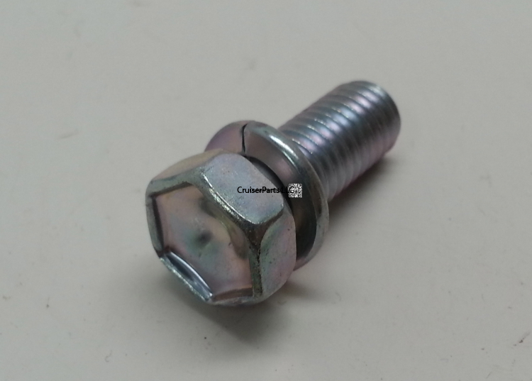 Bolt With Washer