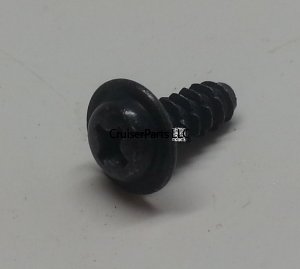 Panel Screw