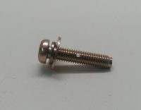 Screw With Washer