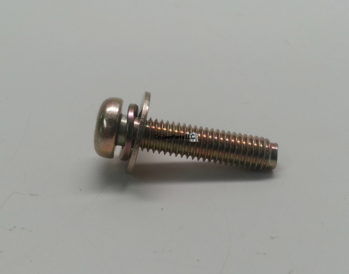Screw With Washer