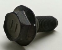Bolt With Washer Head