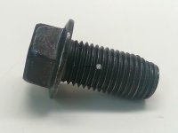 Seat Belt and Retractor Mount Bolt