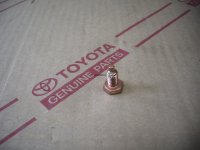 Brake Master Cylinder Drain Plug