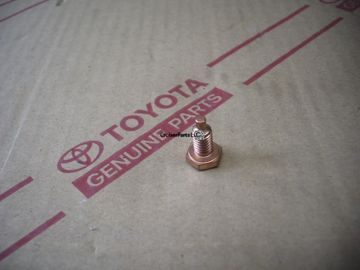 Brake Master Cylinder Drain Plug