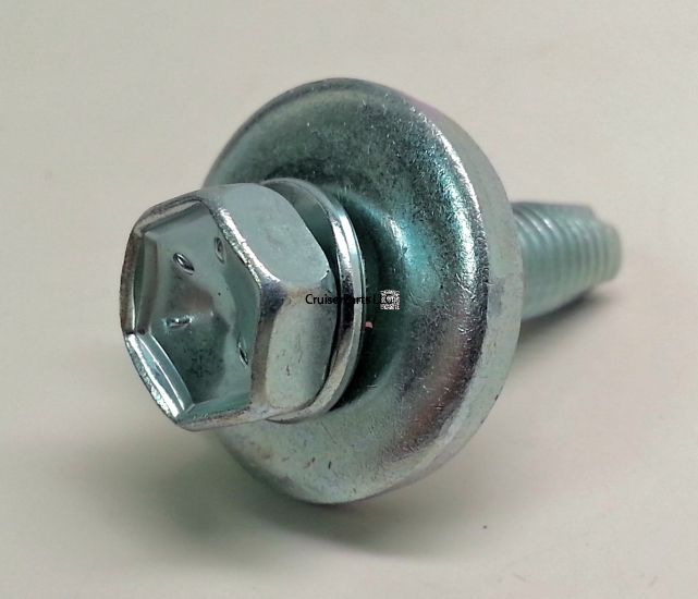 Bolt With Washer