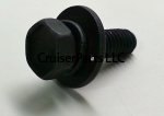 Reservoir Tank Bolt
