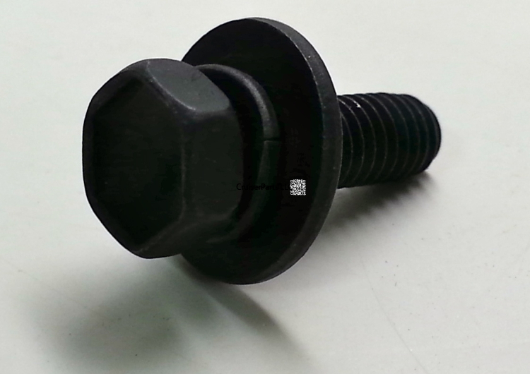 Reservoir Tank Bolt