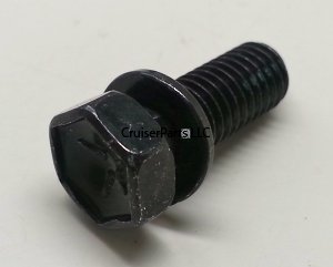 Bolt With Washer