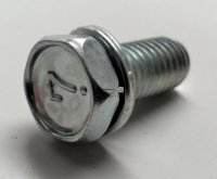 Bolt With Washer