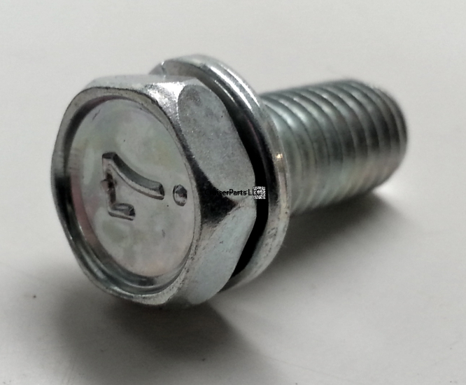 Bolt With Washer