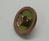 Bolt With Washer