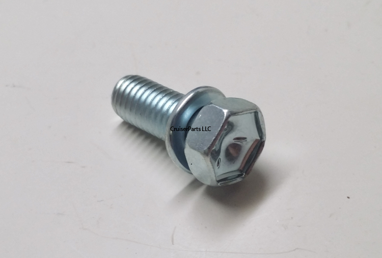Bolt With Washer