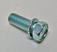 Bolt With Washer