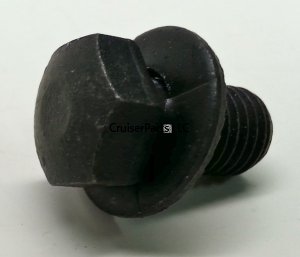 Bolt With Washer