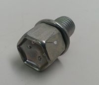 Bolt With Washer
