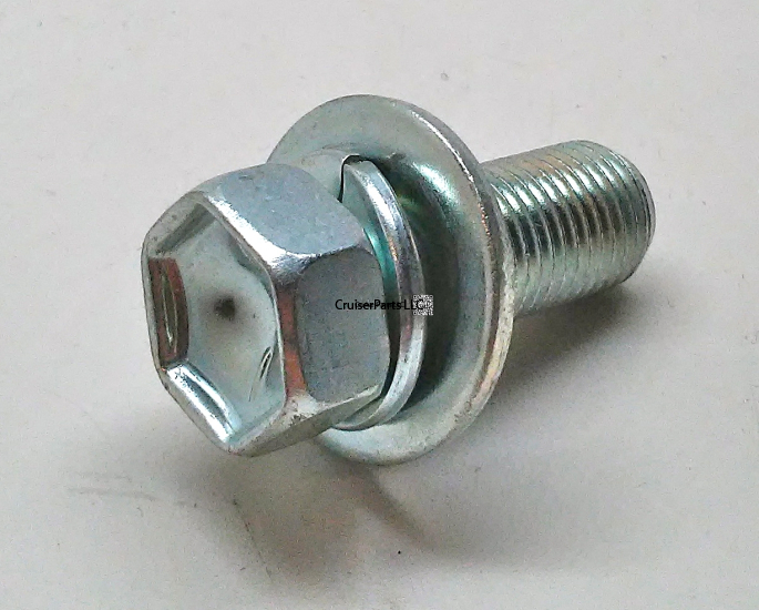 Bolt With Washer