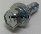 Bolt W/Washer