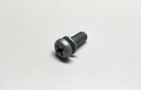 Screw With Washer