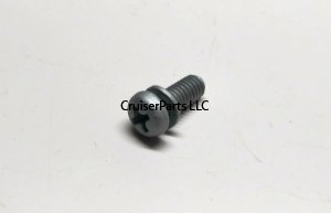Screw With Washer