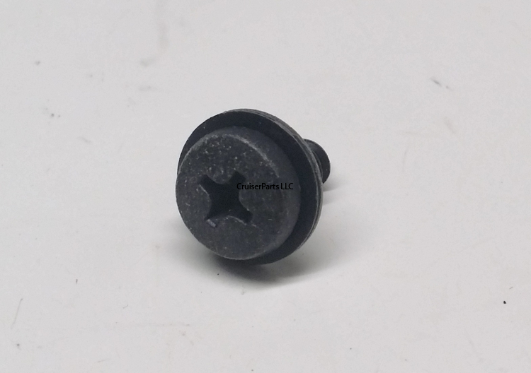 Screw With Washer
