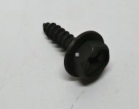 Screw With Washer