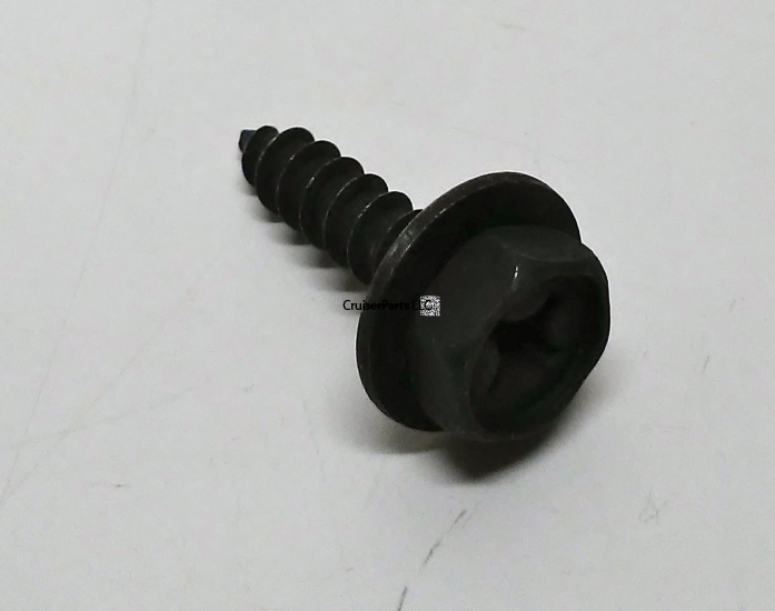 Screw With Washer